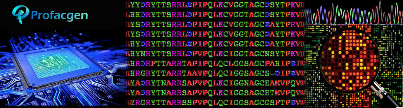 Bioinformatics & Computational Biology Services
