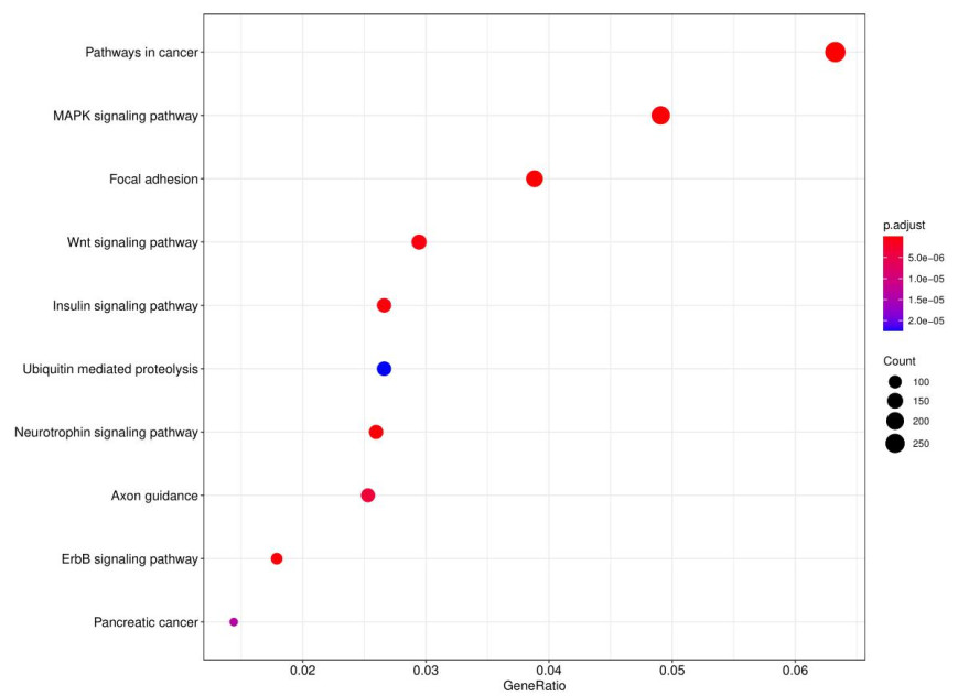 Dot chart of target gene KEGG analysis.