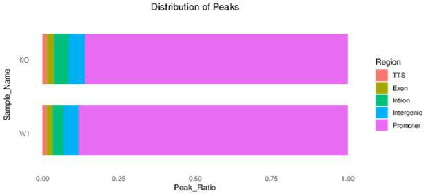 The result of peak detection.