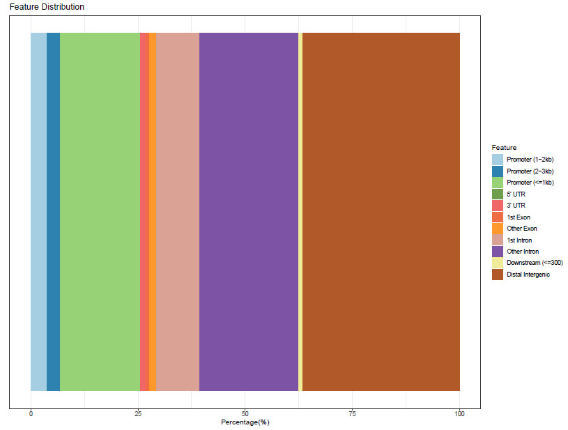 Genomic characteristic regions distribution.