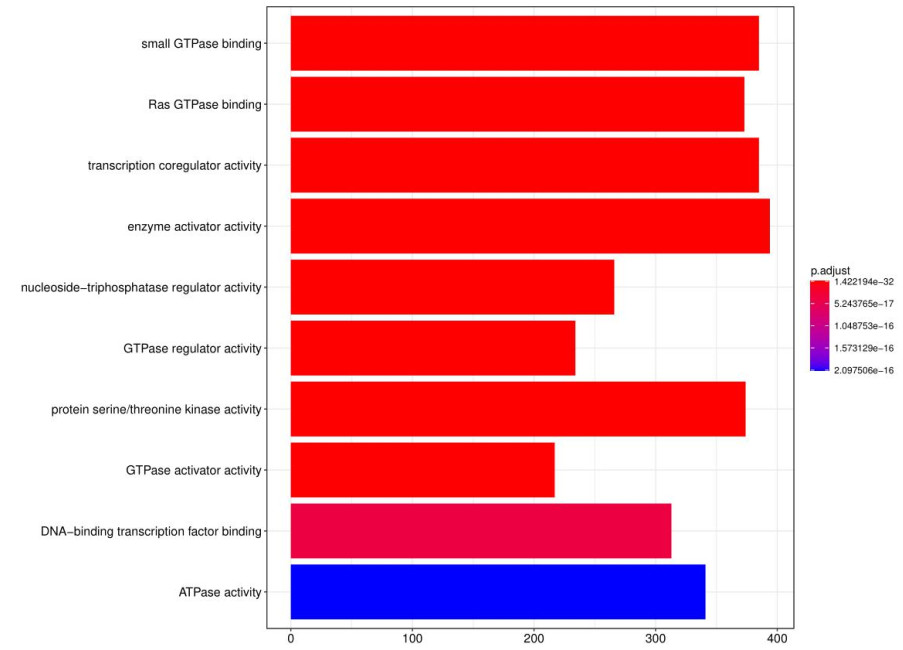 Bar graph of target gene GO analysis.