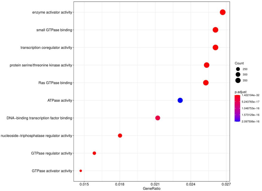 Dot chart of target gene GO analysis.