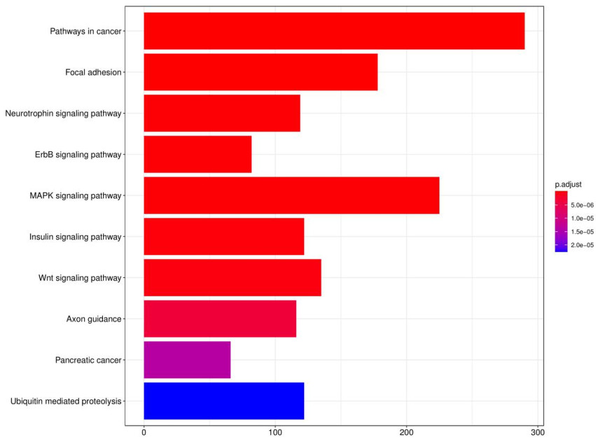 Bar graph of target gene KEGG analysis.