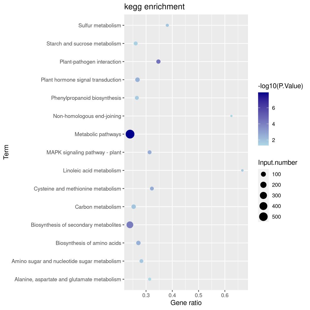 KEGG Analysis.