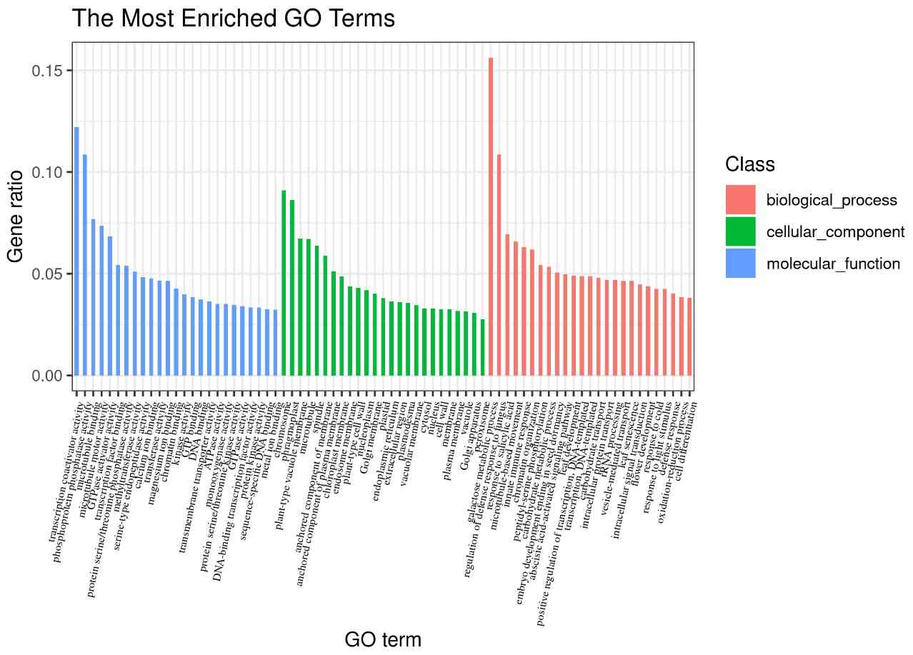 Gene Ontology Analysis.