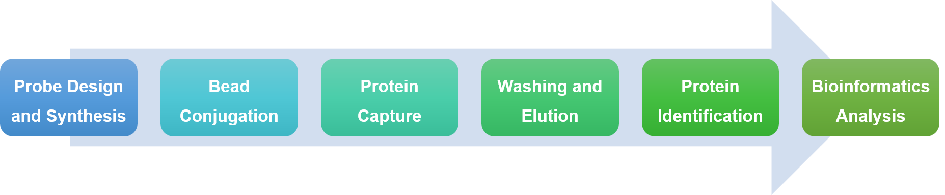 Procedure of DNA/RNA pull down service.