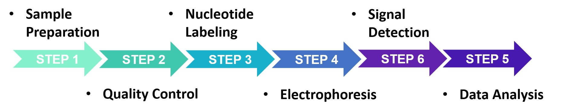 Procedure of EMSA service.