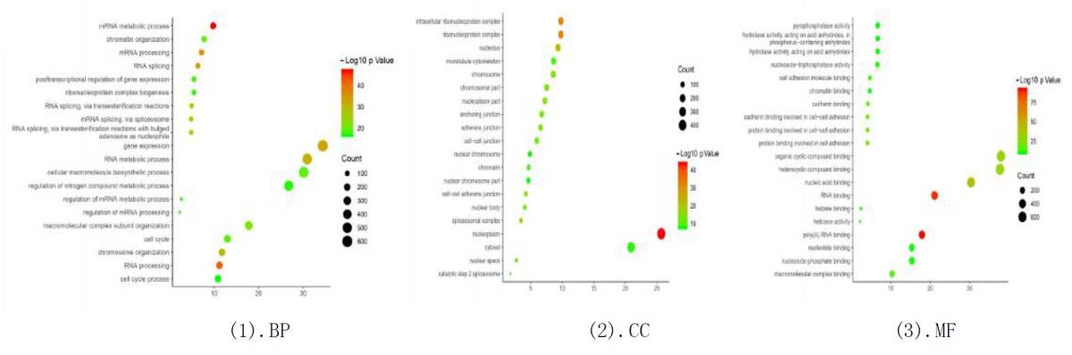 Results of GO Enrichment Analysis.