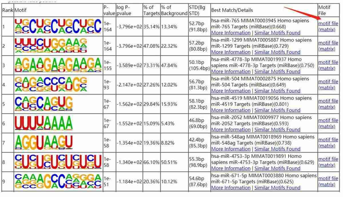 Results of Motif Analysis.