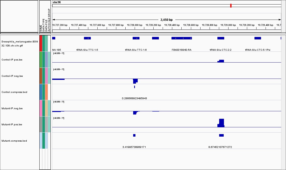 Result of IGV visualization.