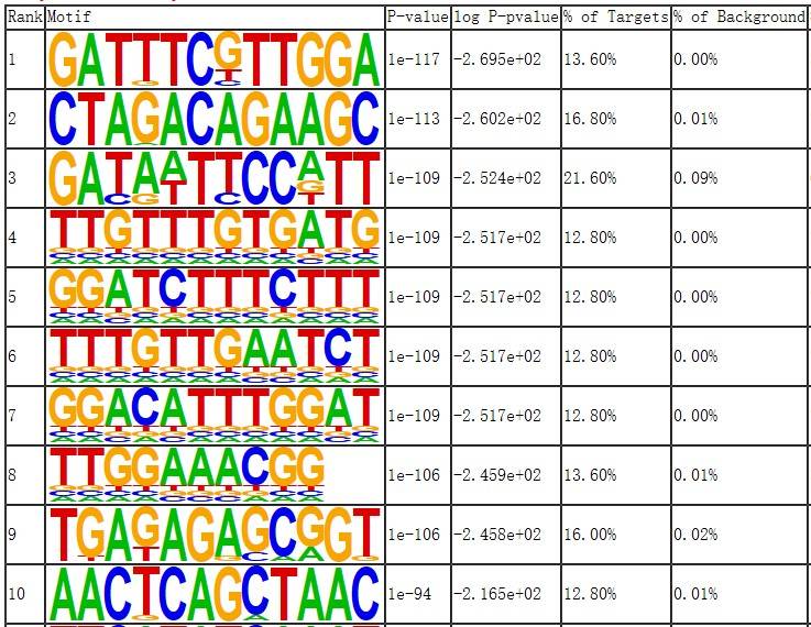 Result of Motif Analysis for Knockout Group.