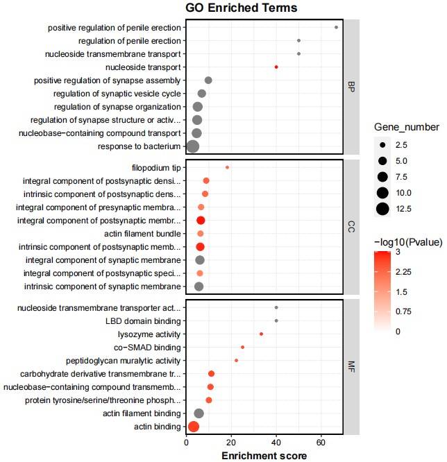 Result of GO Enrichment Analysis for Control Group.