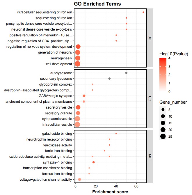 Result of GO Enrichment Analysis for Knockout Group.