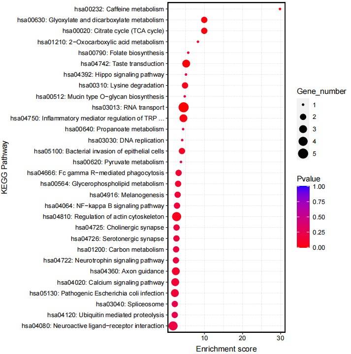 Result of KEGG Analysis for Control Group.