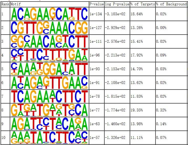 Result of Motif Analysis for Control Group.