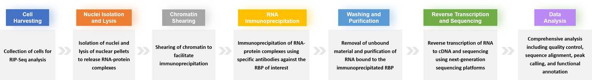 Procedure of RIP-Seq Service.