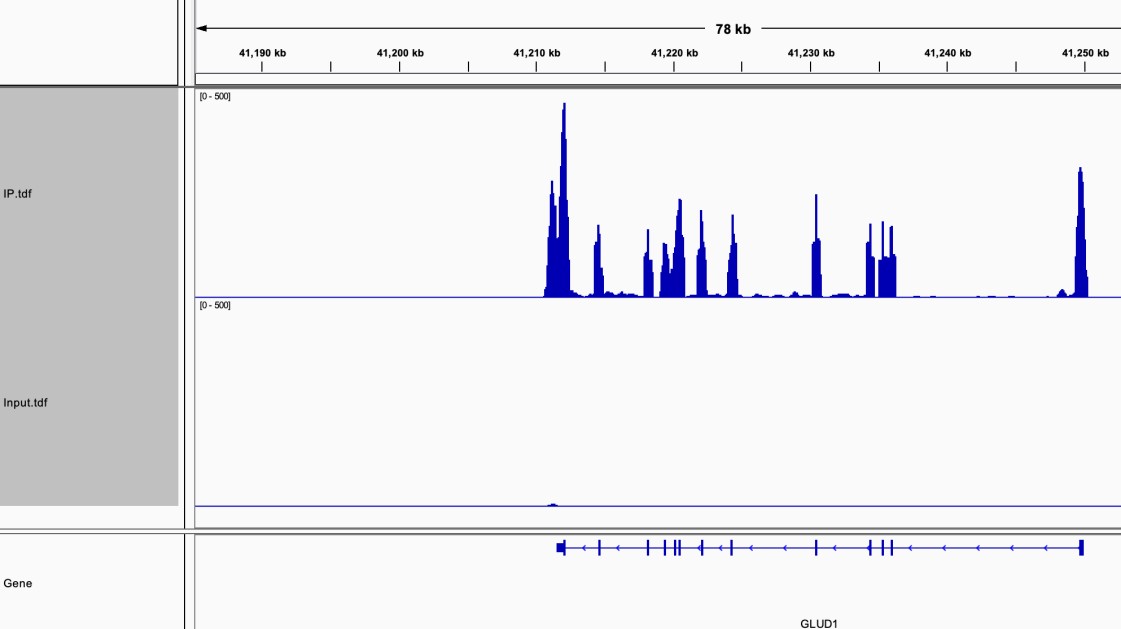 RIP-seq Result Visualization.