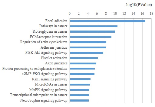 Result of KEEG Biological Pathway Analysis.