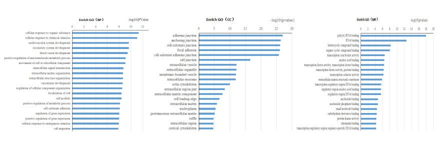 Result of GO Enrichment Analysis.