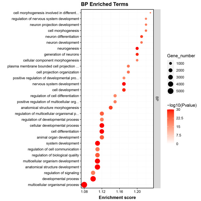 GO Enrichment Analysis of BP Enriched Terms.