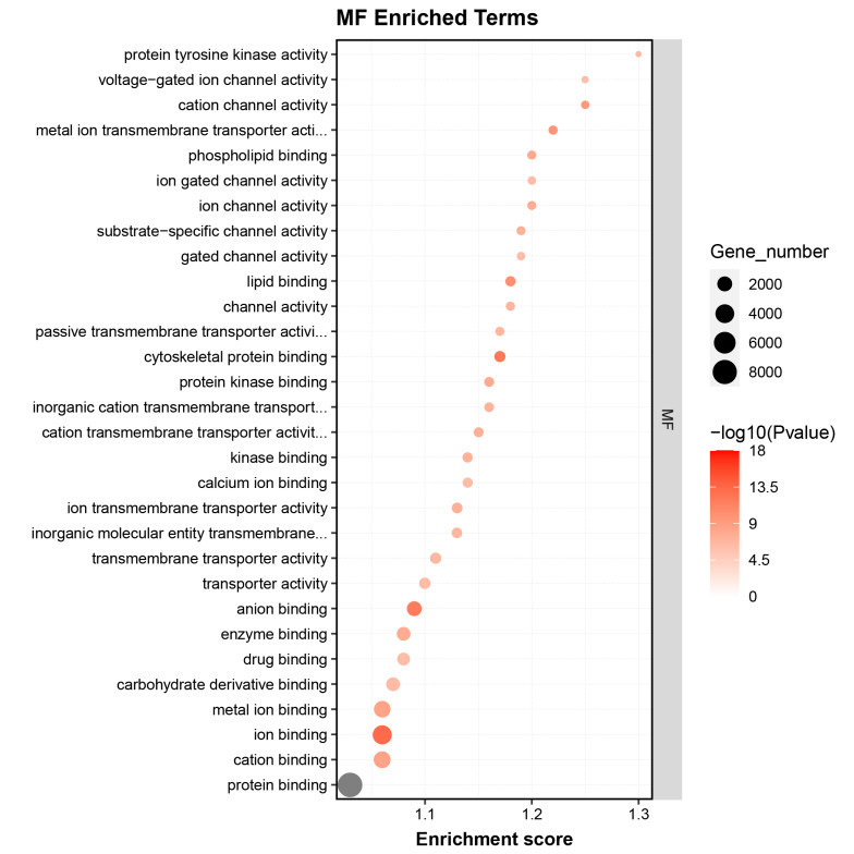 GO Enrichment Analysis of MF Enriched Terms.