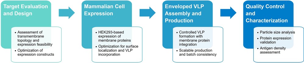 Service workflow of enveloped VLPs technology for membrane protein production
