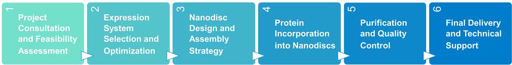 Service workflow of nanodisc-based protein purification