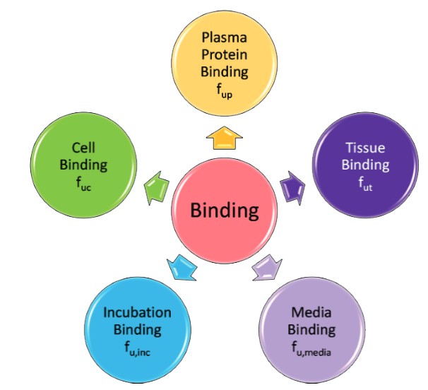 Applications of Plasma Protein Binding Assay.