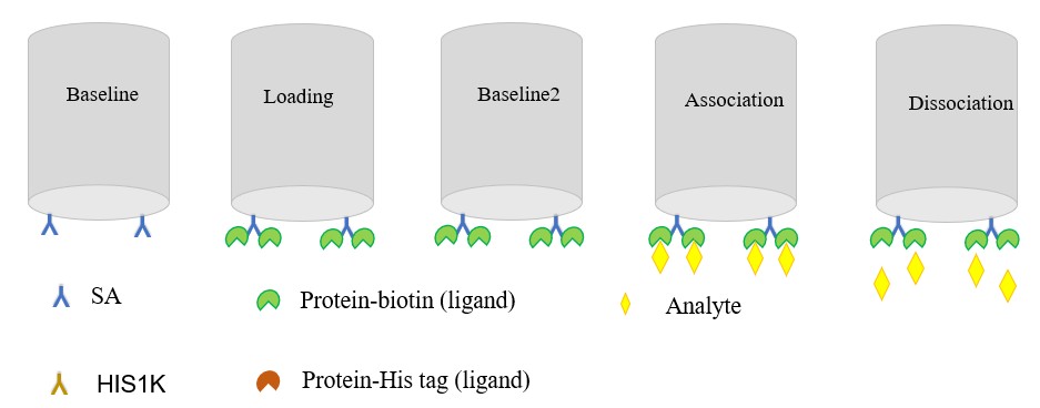 Methods in the project.