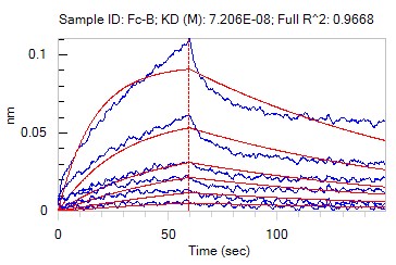 Evaluation of the binding affinity in this project.