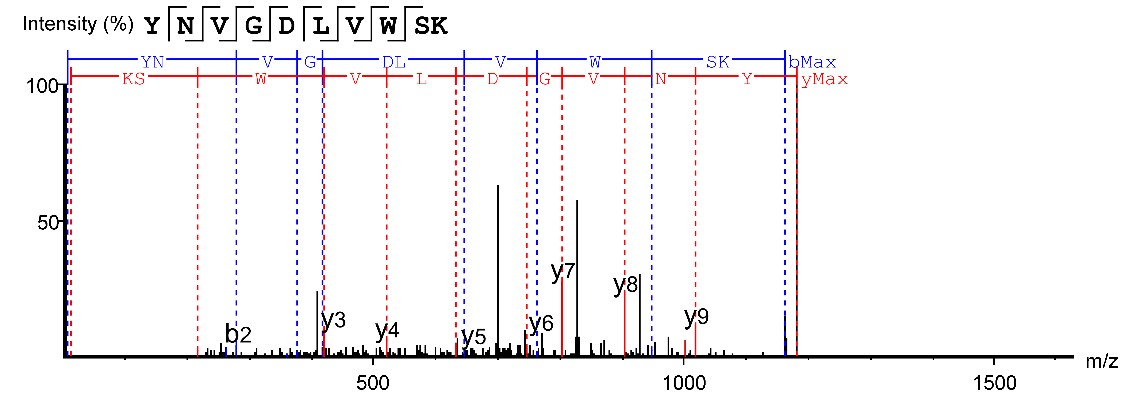 Result of WB analysis.