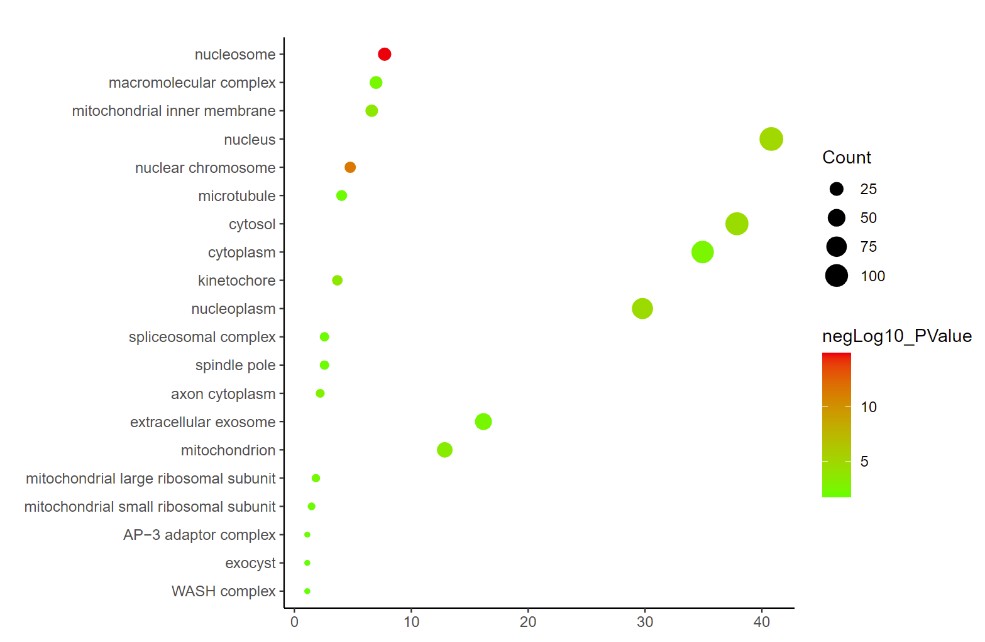 GO_BP Enrichment Analysis.