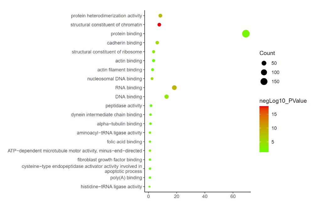 GO_CC Enrichment Analysis.