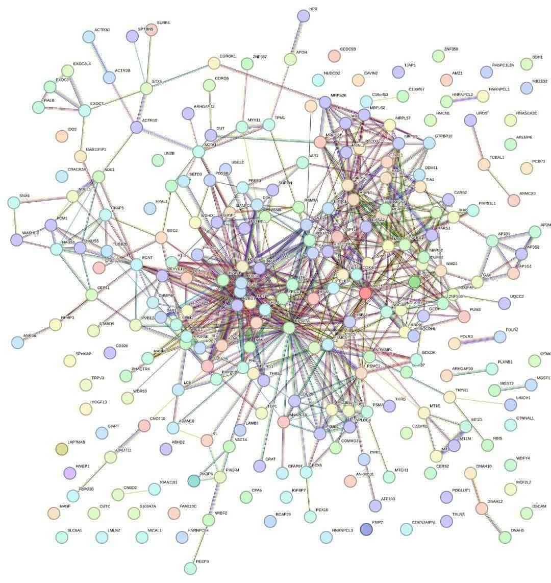 KEGG Enrichment Analysis.