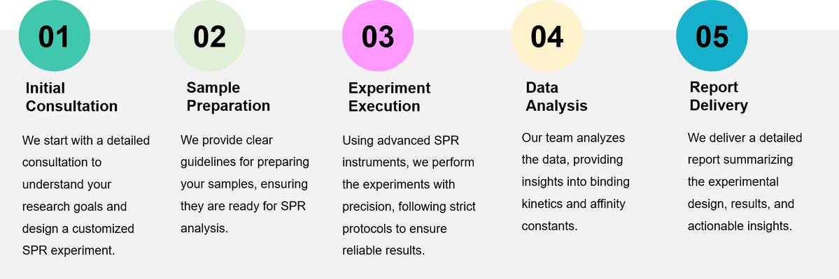 Procedure of Surface Plasmon Resonance (SPR) Service.