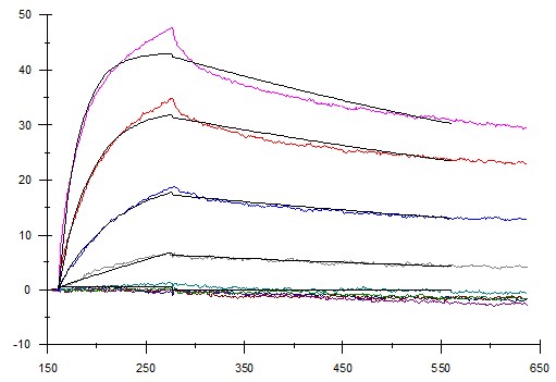 Binding Affinity Detection.