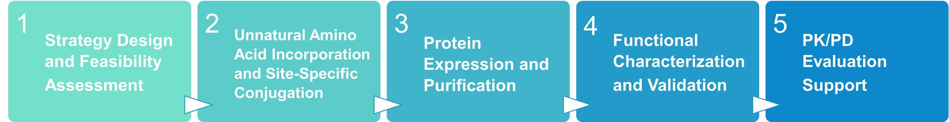 Workflow for unnatural amino acid incorporation for half-life extension