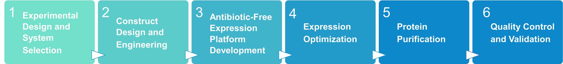 Workflow for antibiotic-free expression