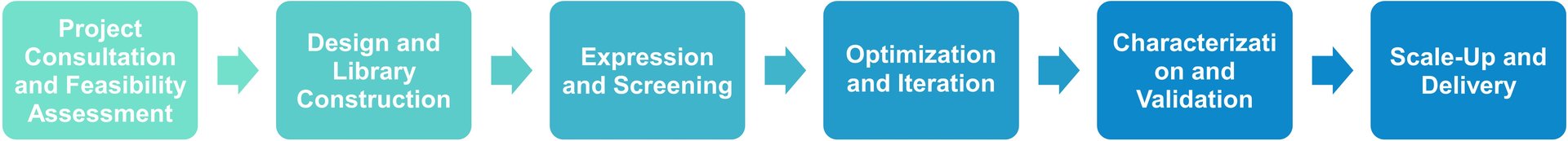 Protein engineering service workflow