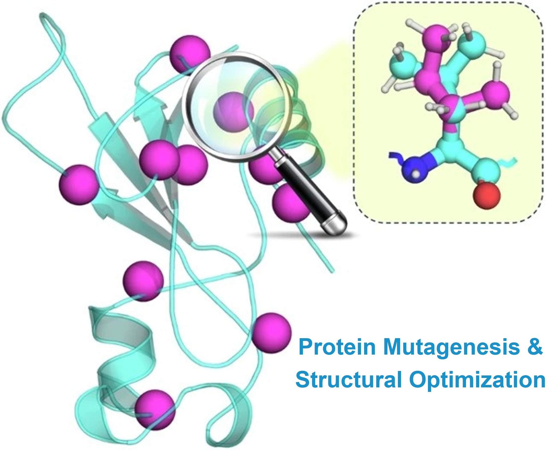 Protein mutagenesis and structural modification services at Profacgen