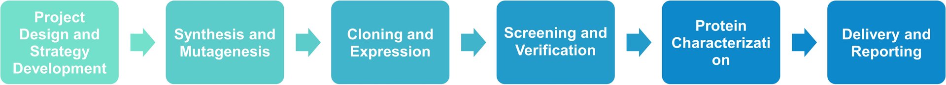 Protein mutagenesis and structural modification service workflow