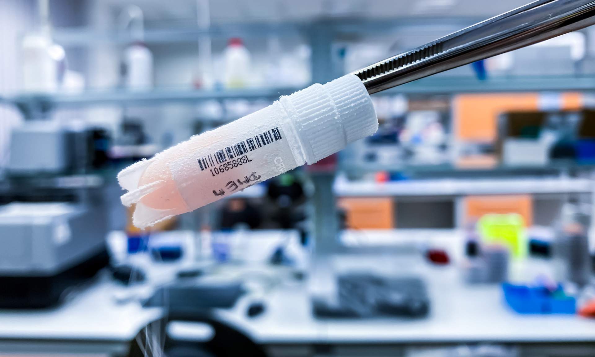 Cell line development for industrial manufacturing at Profacgen