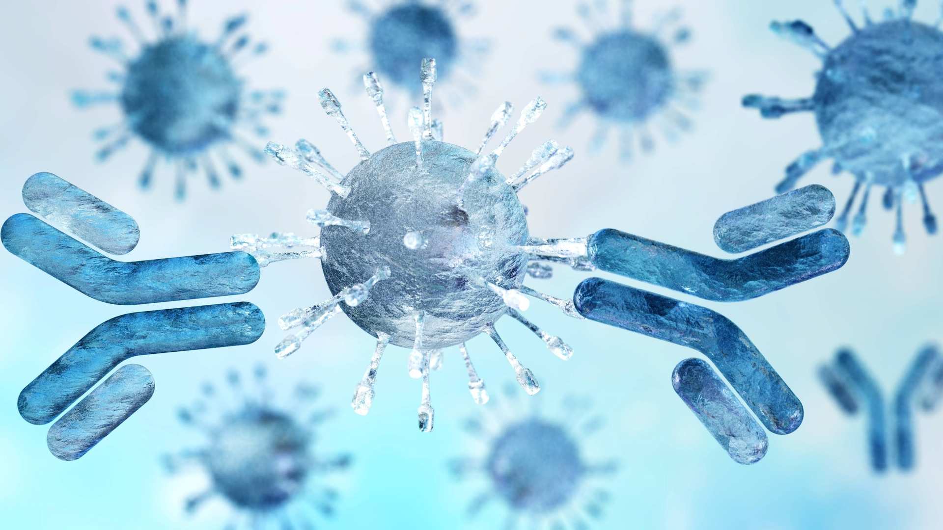 Immunogenicity assessment overview