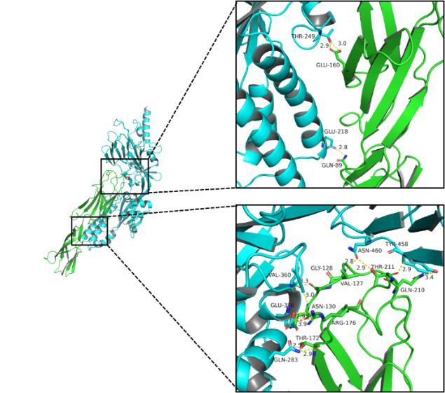 3D detail map of interaction analysis.