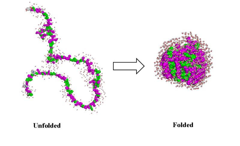 A New Platform for Misfolding Protein Corrected