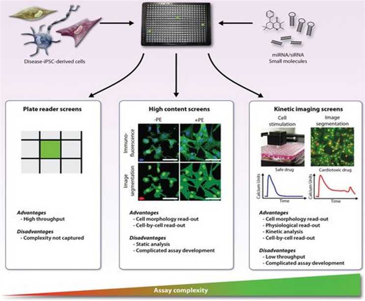 A New Platform for Protein High-Throughput Screening