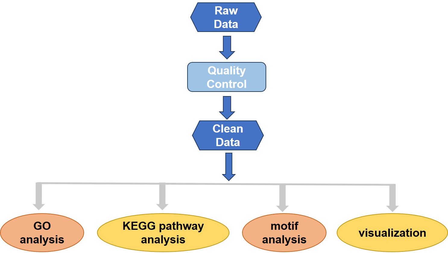 Analysis pipeline