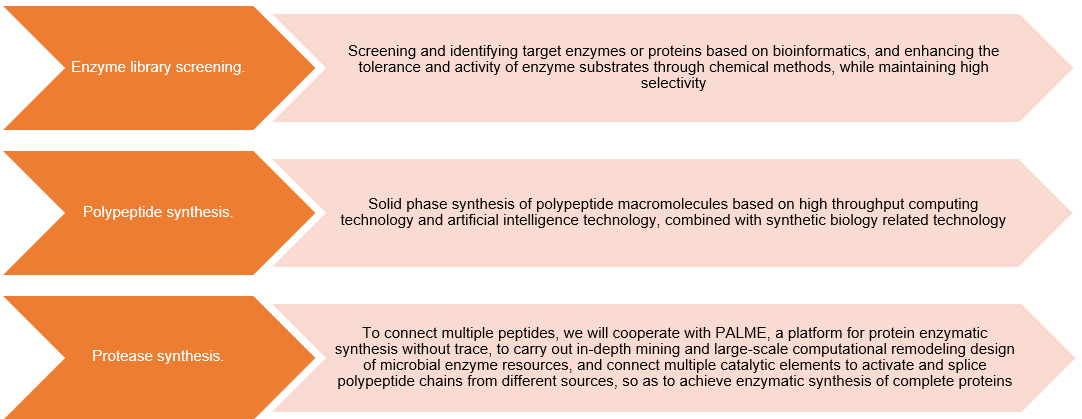  Enzymatic protein synthesis 1