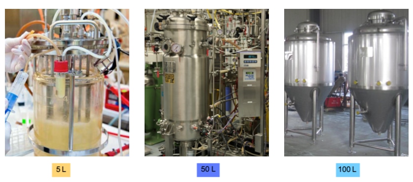 From Bench-Top Fermenter to Bioprocess Scale-Up Facility