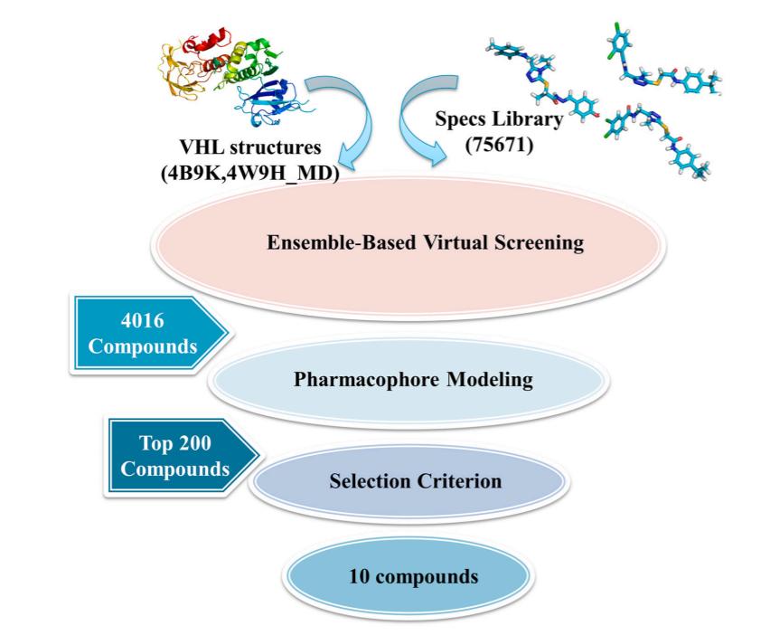 The workflow of virtual screening for small compound ligand discovery